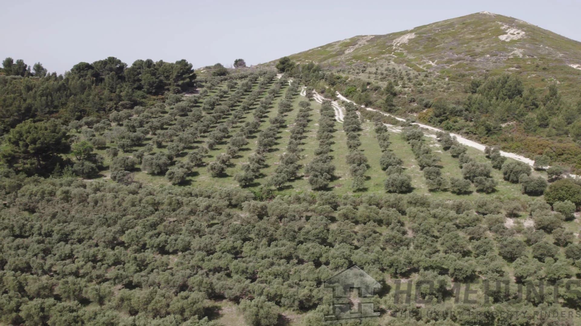 property_HH-15935024-2