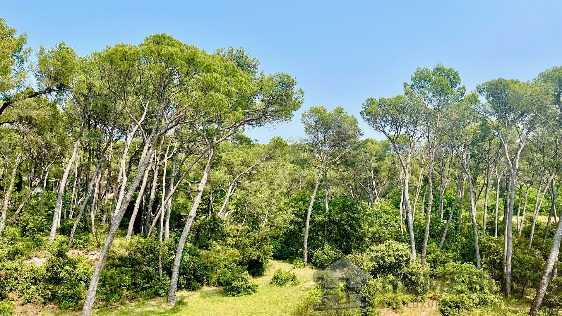 property_HH-15964998-9