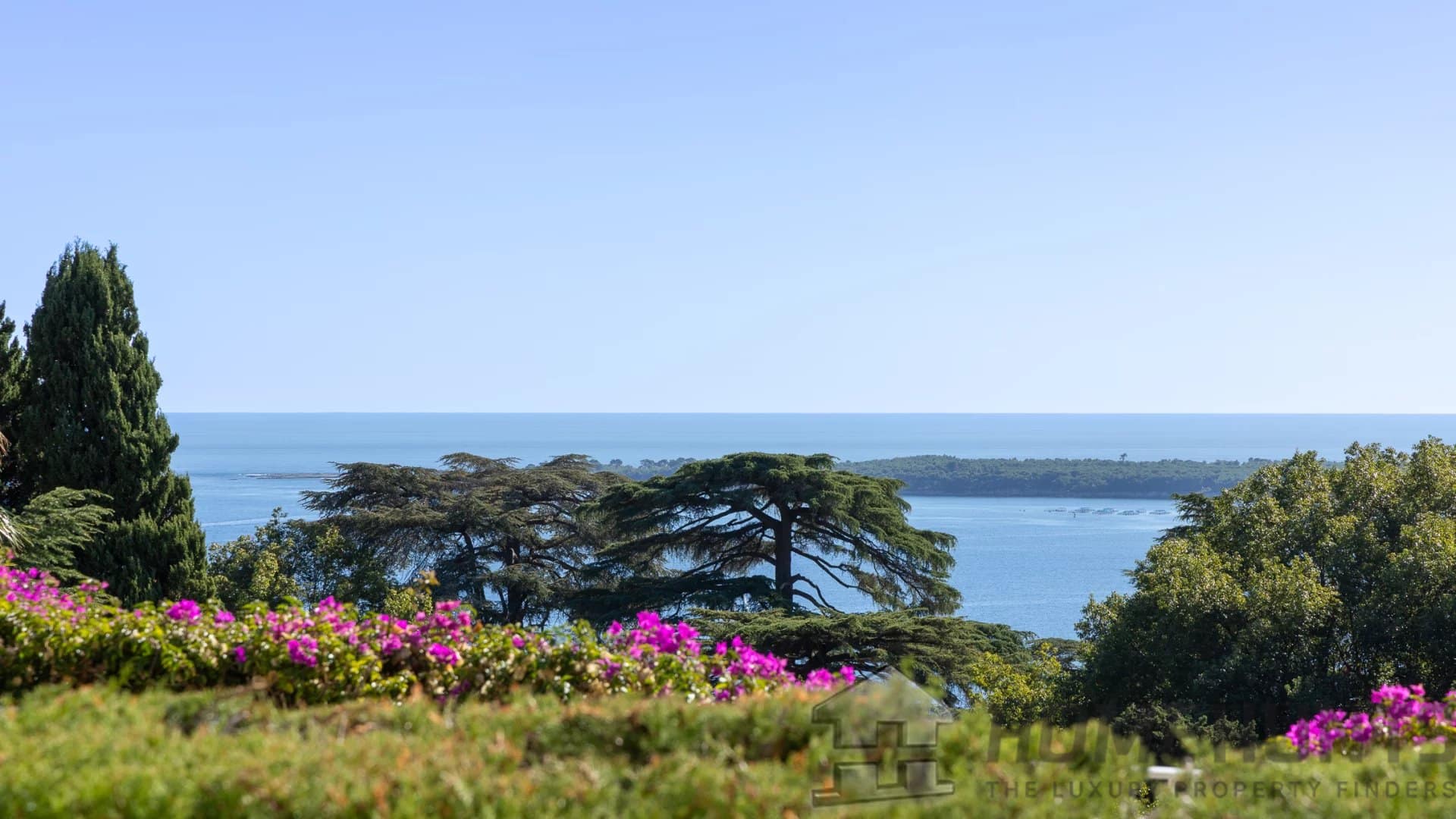 property_HH-15980374