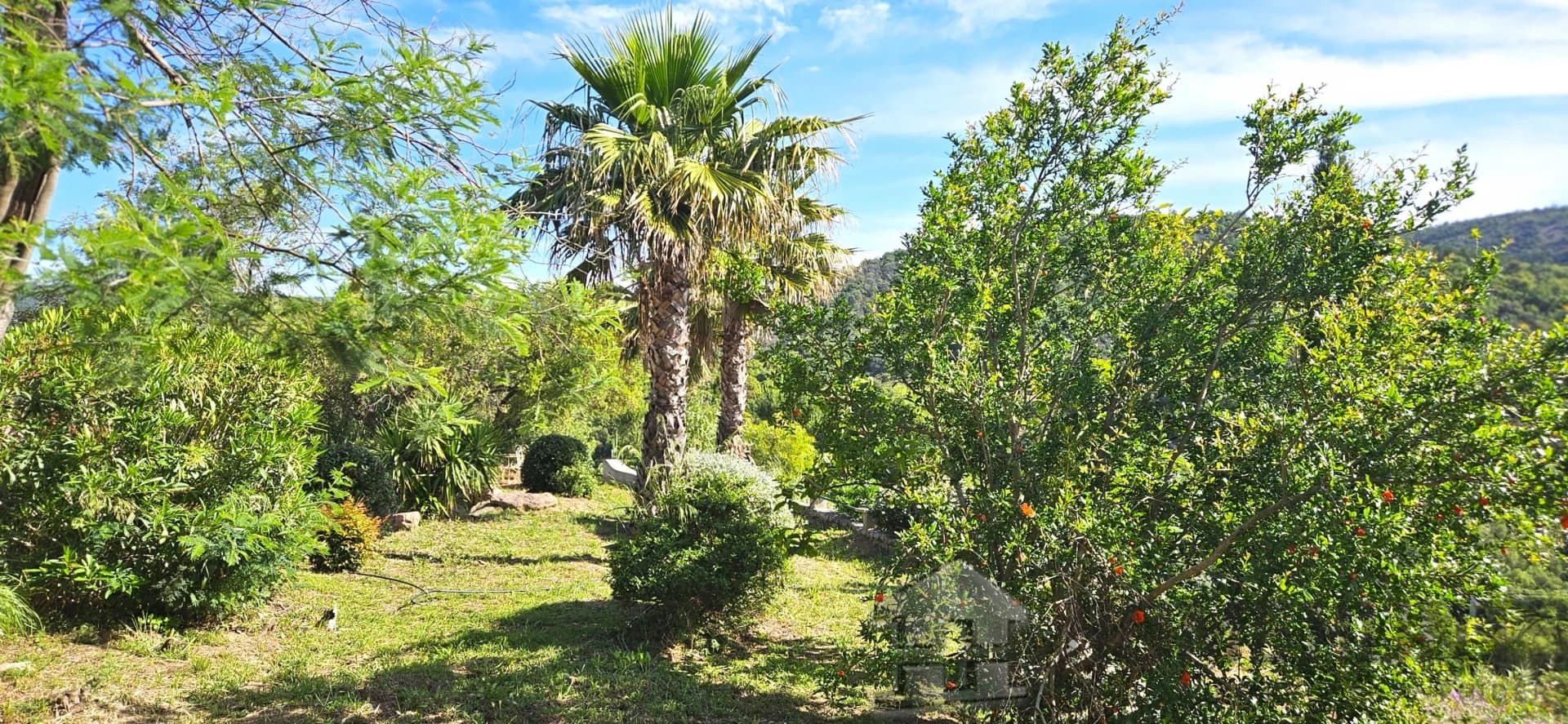 property_HH-15825997-16