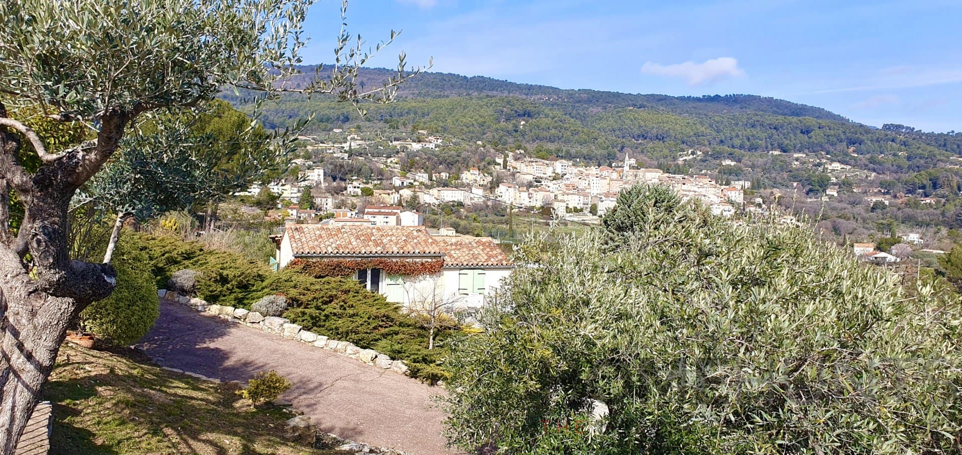 property_HH-14933521-3