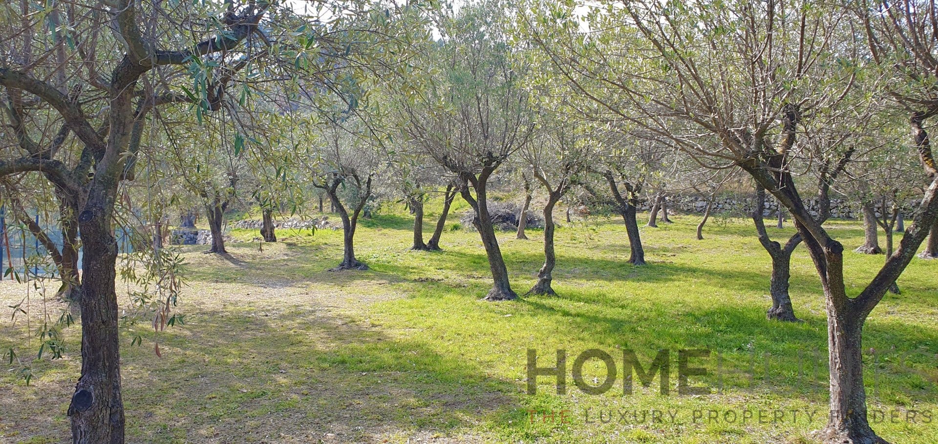 property_HH-14933521-13