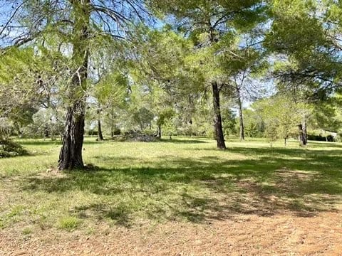 property_HH-15575396-27