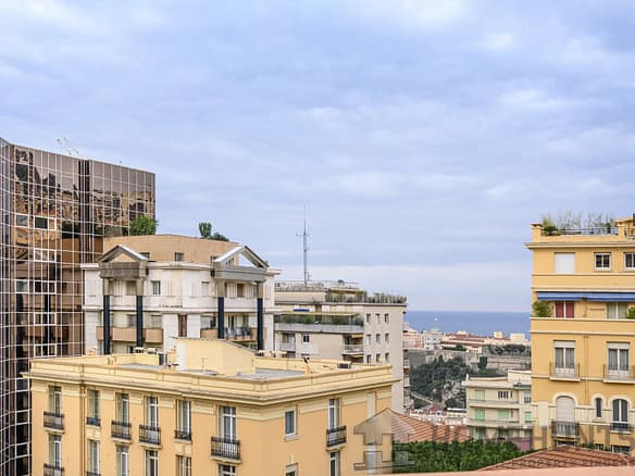 1 Bedroom Apartment in Monaco 30