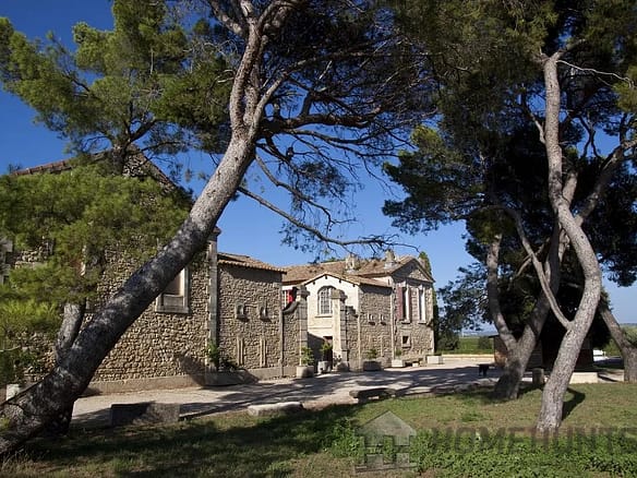 Vineyard in Orange 7