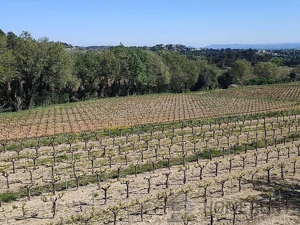 6 Bedroom Vineyard in Pont St Esprit 16