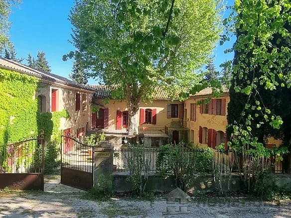 Vineyard in Orange 5