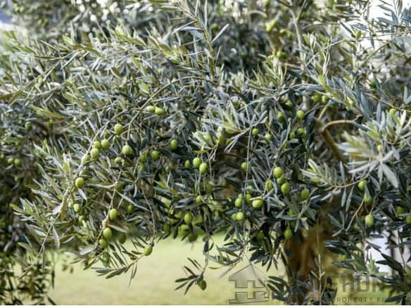 6 Bedroom Castle/Estates in St Remy De Provence 2