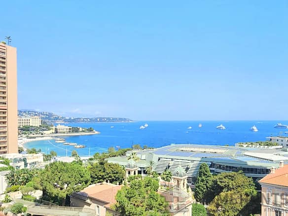 1 Bedroom Apartment in Monaco 18