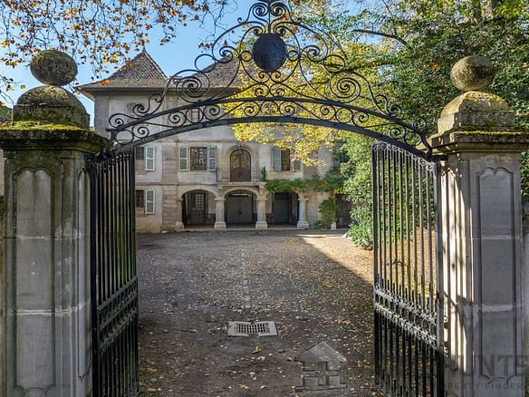 Castle/Estates in Douvaine 8