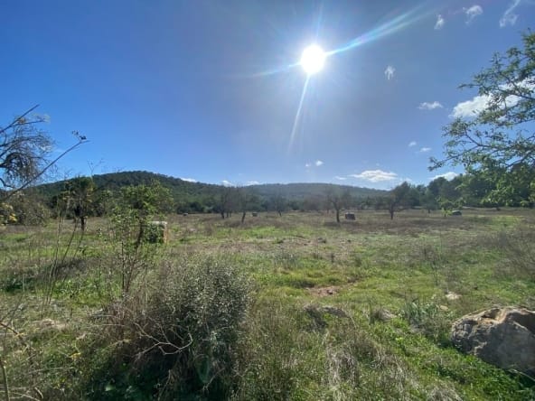 property_HH-15020807