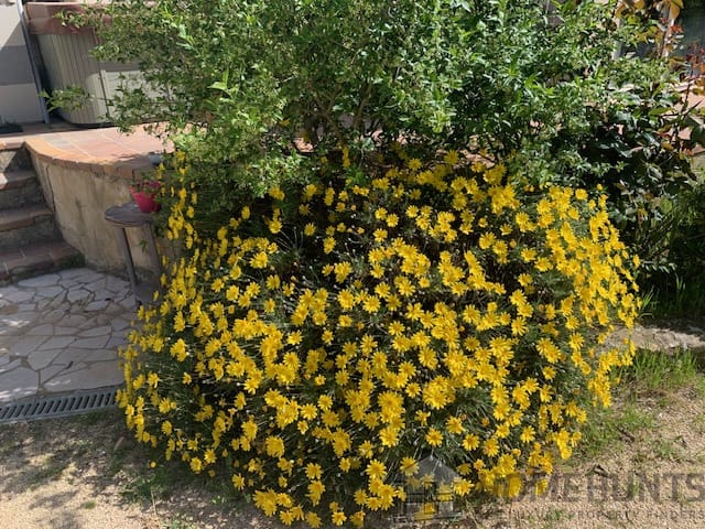 property_HH-15352283-13