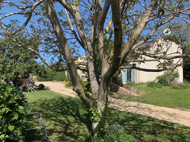 property_HH-15352283-22