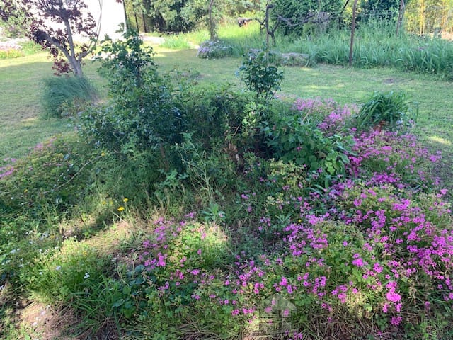 property_HH-15352283-25