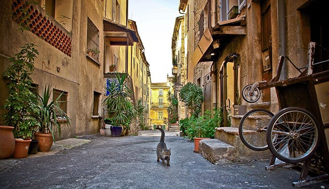 Photo of street in valbonne