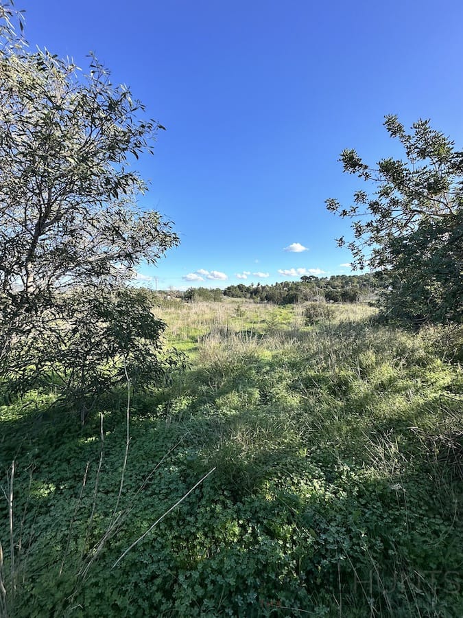 property_HH-15628171-2