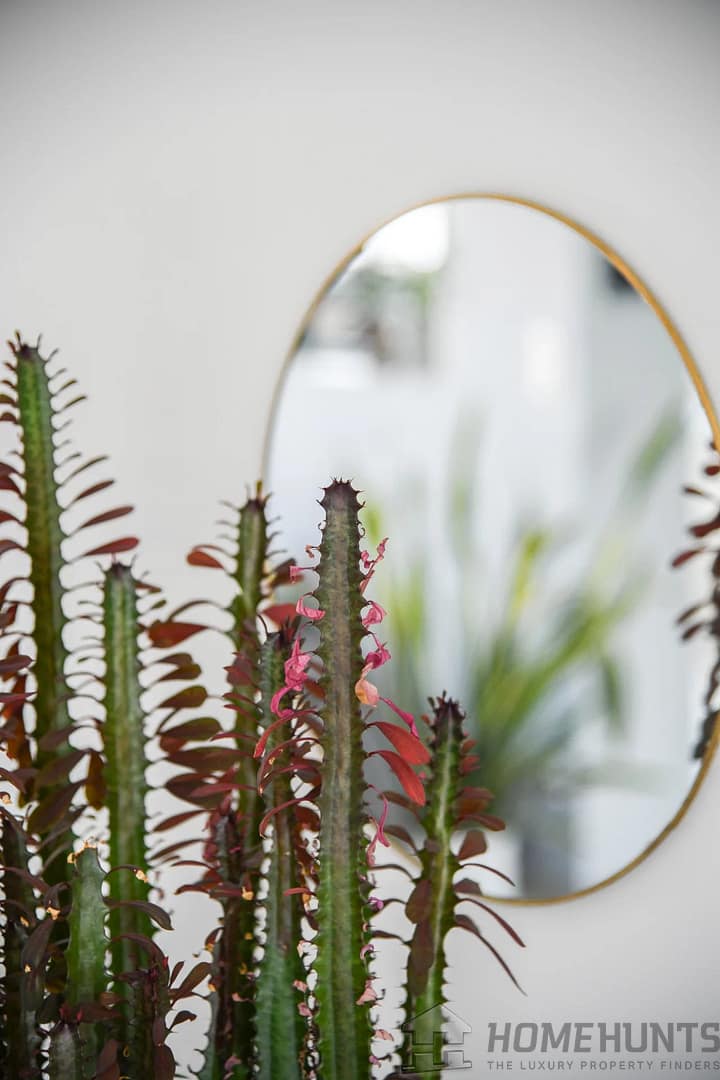 property_HH-15432524-10