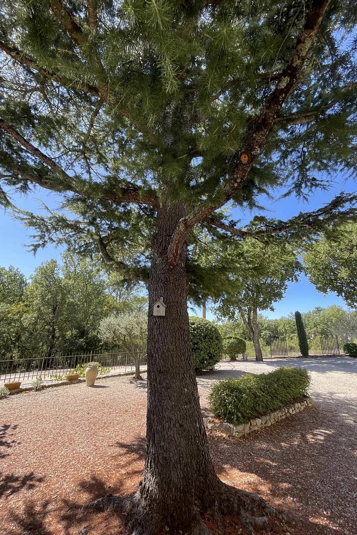 property_HH-15520037-21