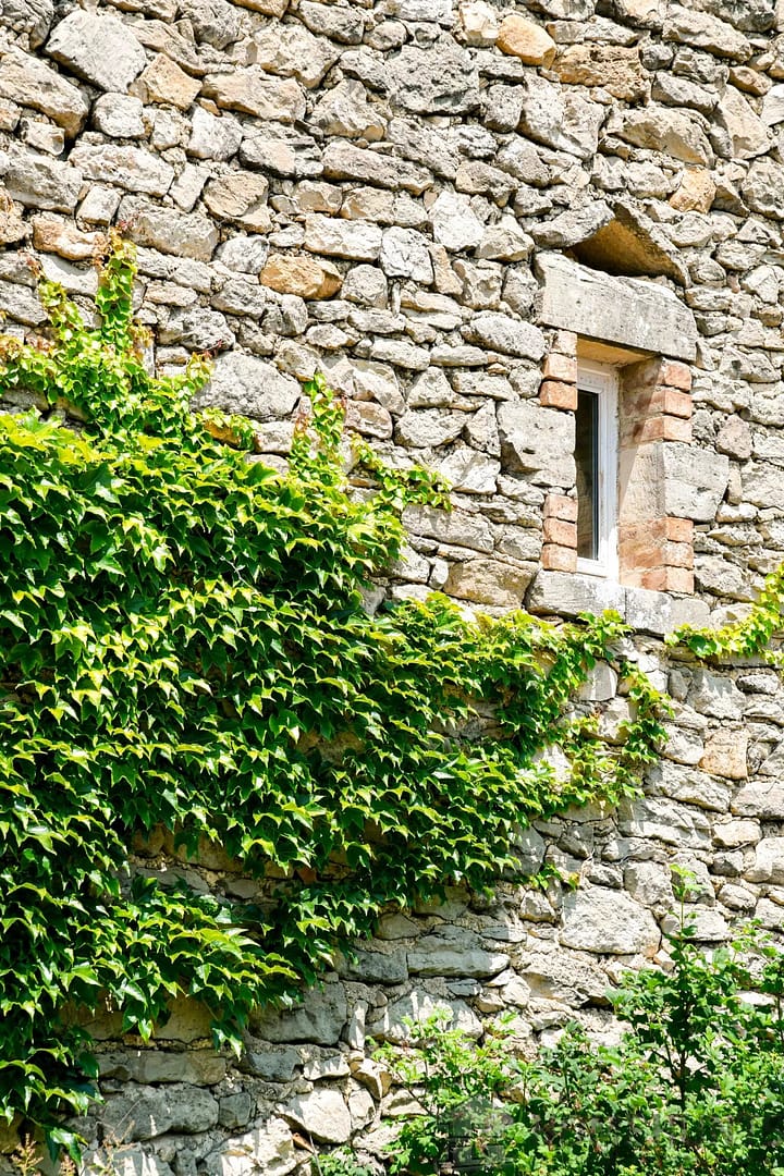 property_HH-15784526-29