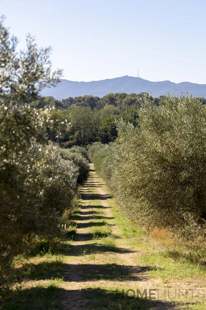 property_HH-15939555-14