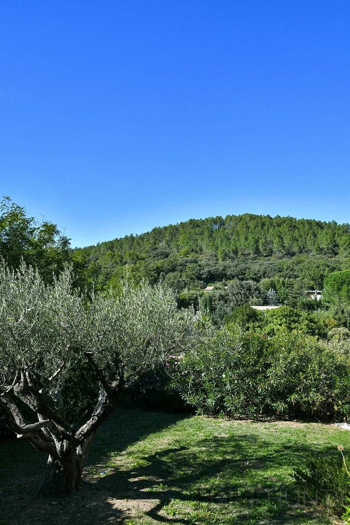 property_HH-16036531-25