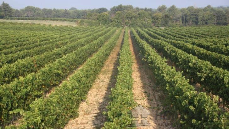 property_HH-14062592-10