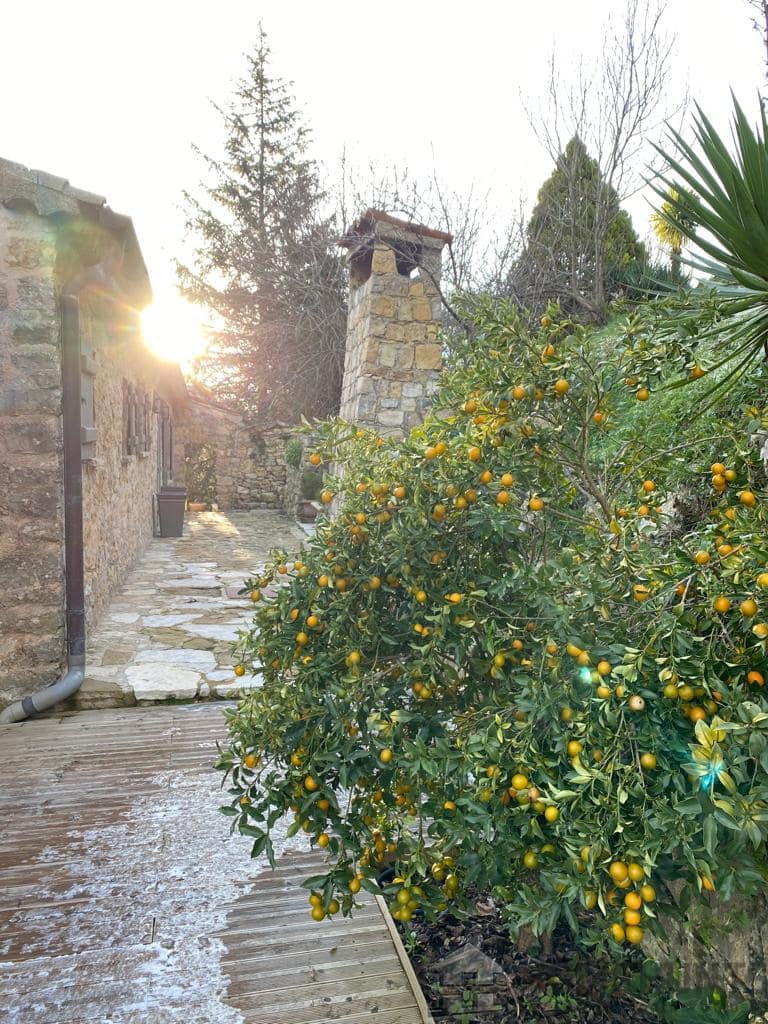 property_HH-15202206-19