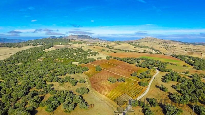 property_HH-15640904-11