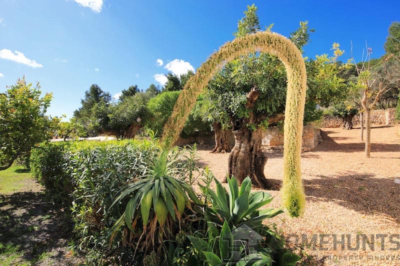 property_HH-15190145-23