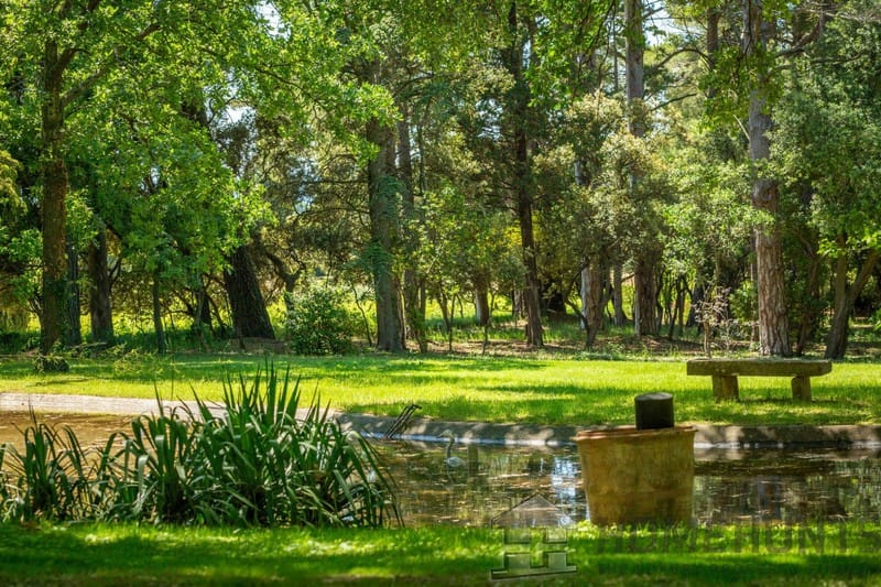 property_HH-15556564-6