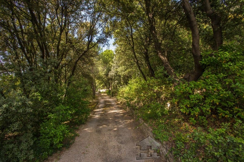 property_HH-15566881-11