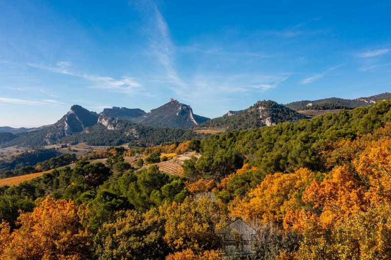 property_HH-15613872-12