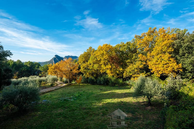 property_HH-15613872-24