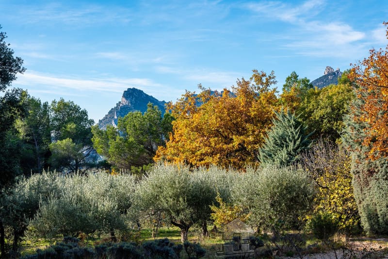 property_HH-15613872-29