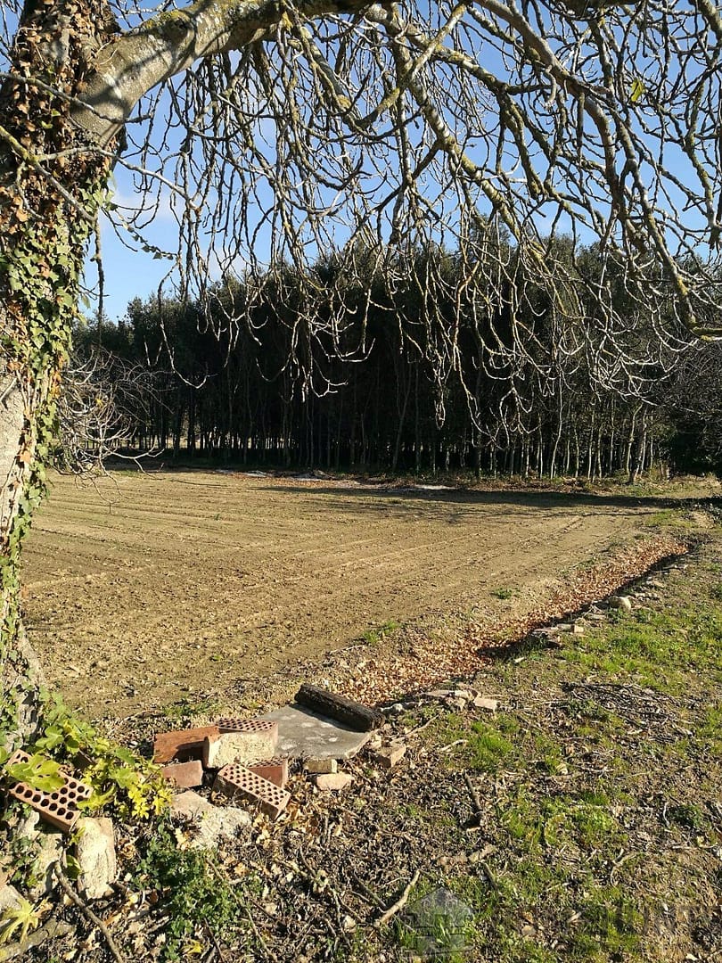 property_HH-15237104-30