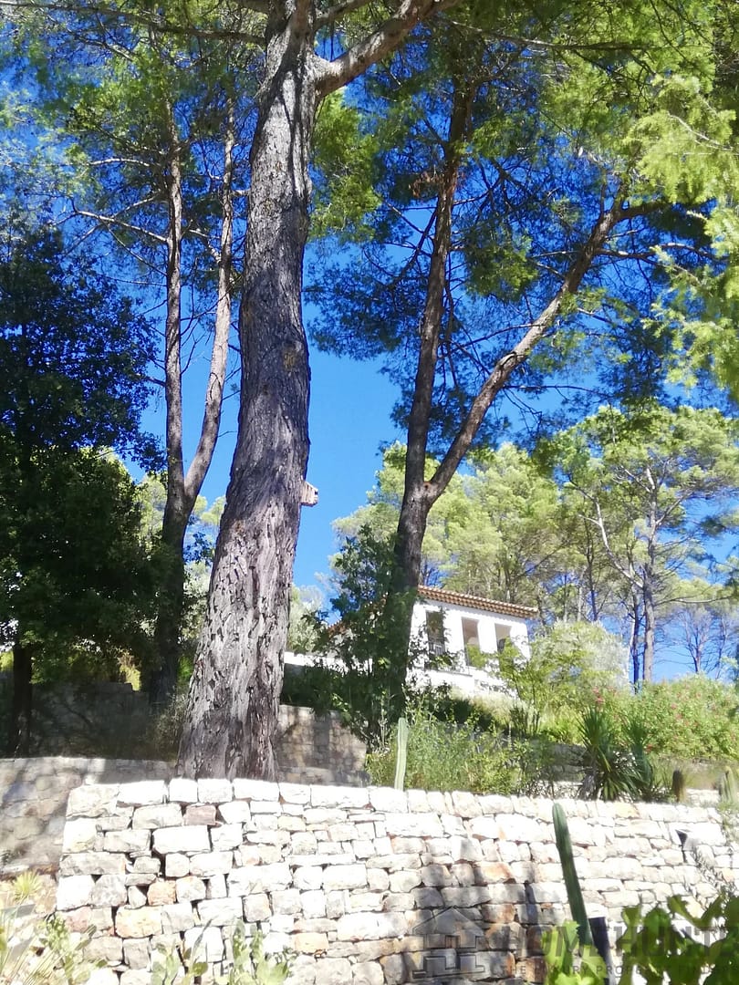 property_HH-15805607-25