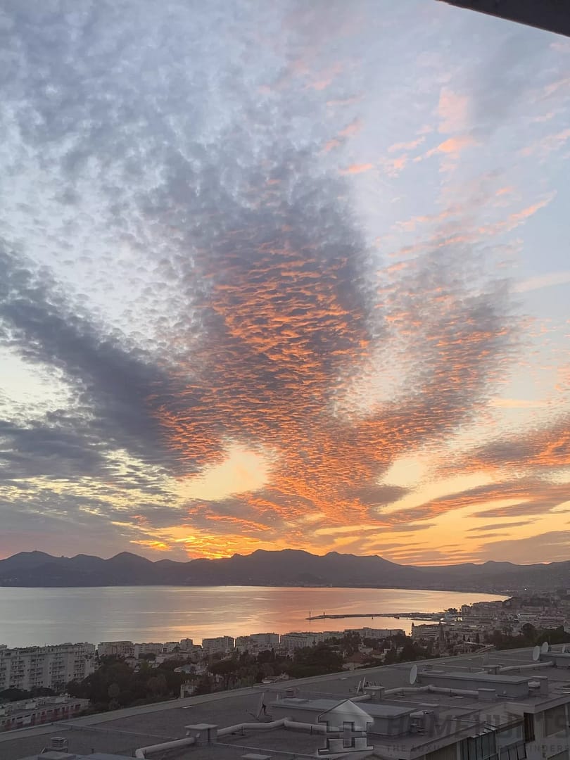 property_HH-15825866-13