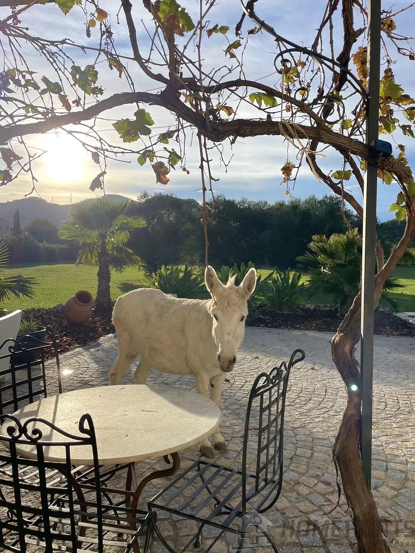 property_HH-15976286-12