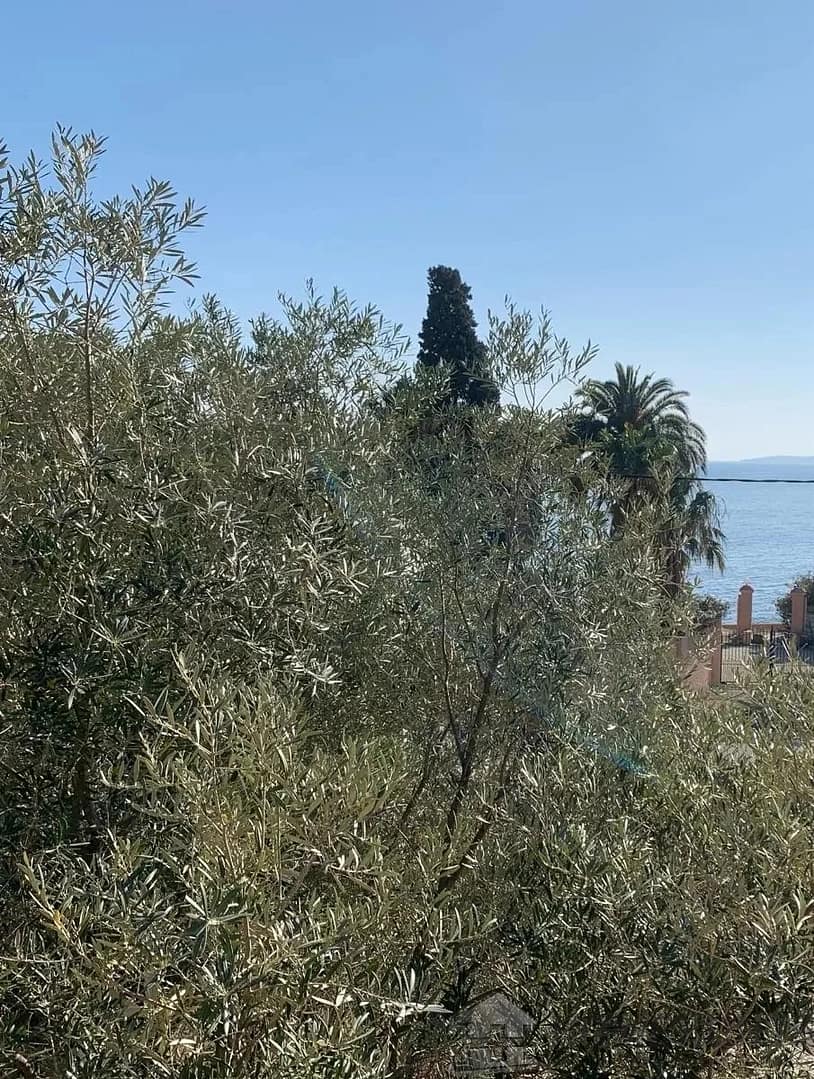 property_HH-15290671-3