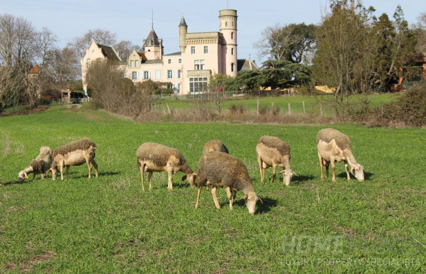 Occitanie: Exceptional Value in the South of France 3 Occitanie: Exceptional Value in the South of France 2