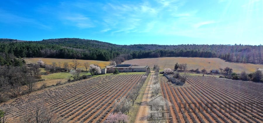 property_HH-15432888-2