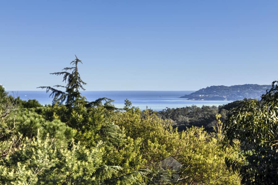 property_HH-15206862