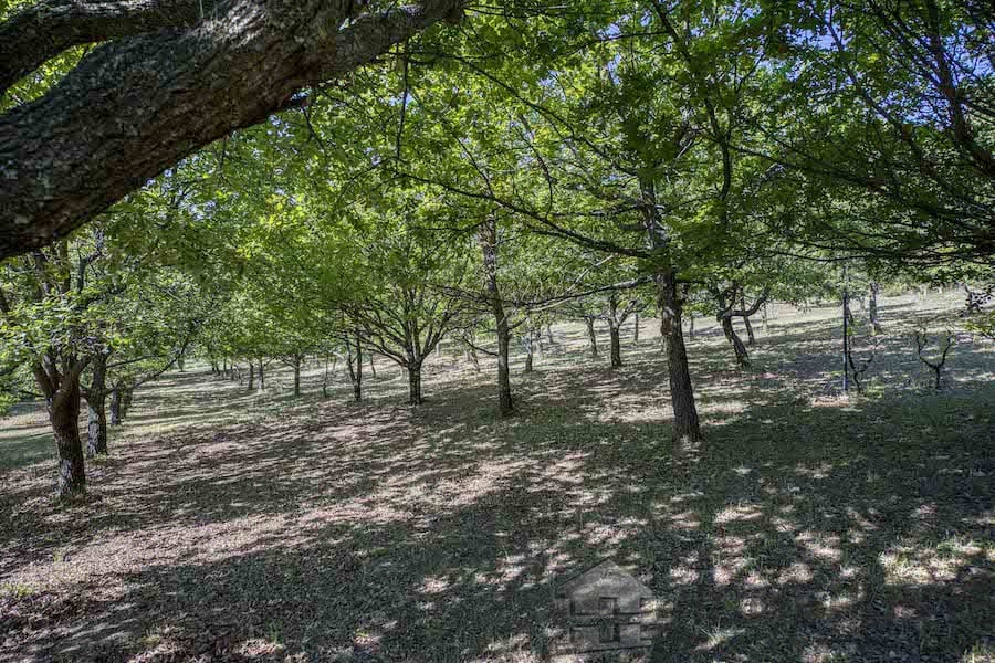 property_HH-15969192-6