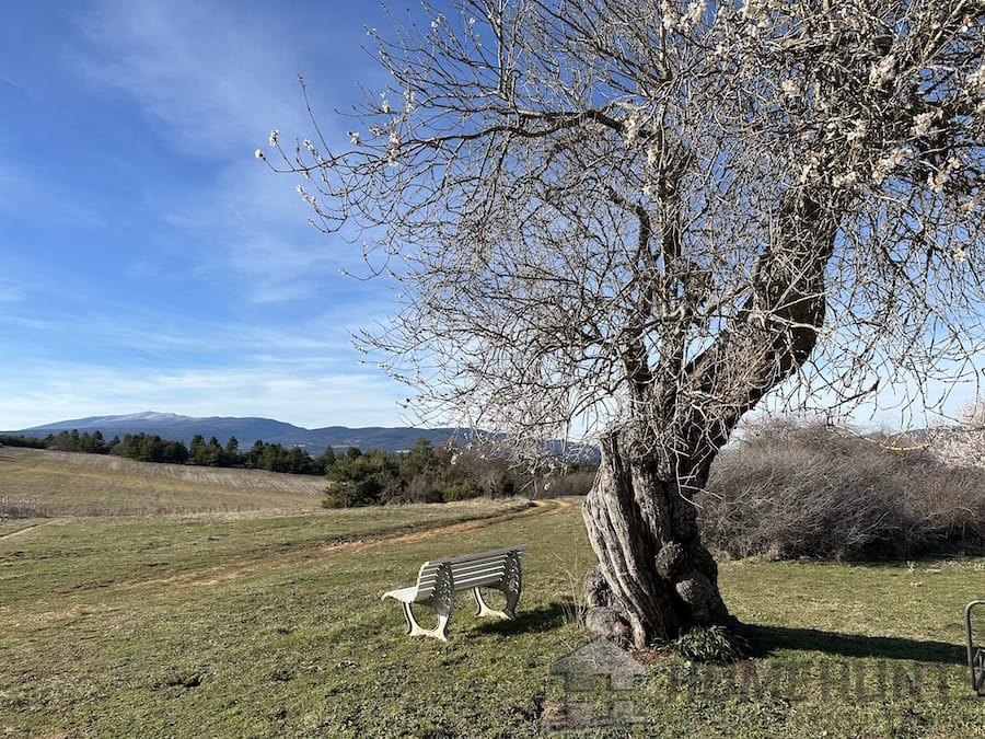 property_HH-15432888-6