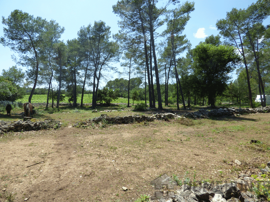 property_HH-15040980-12