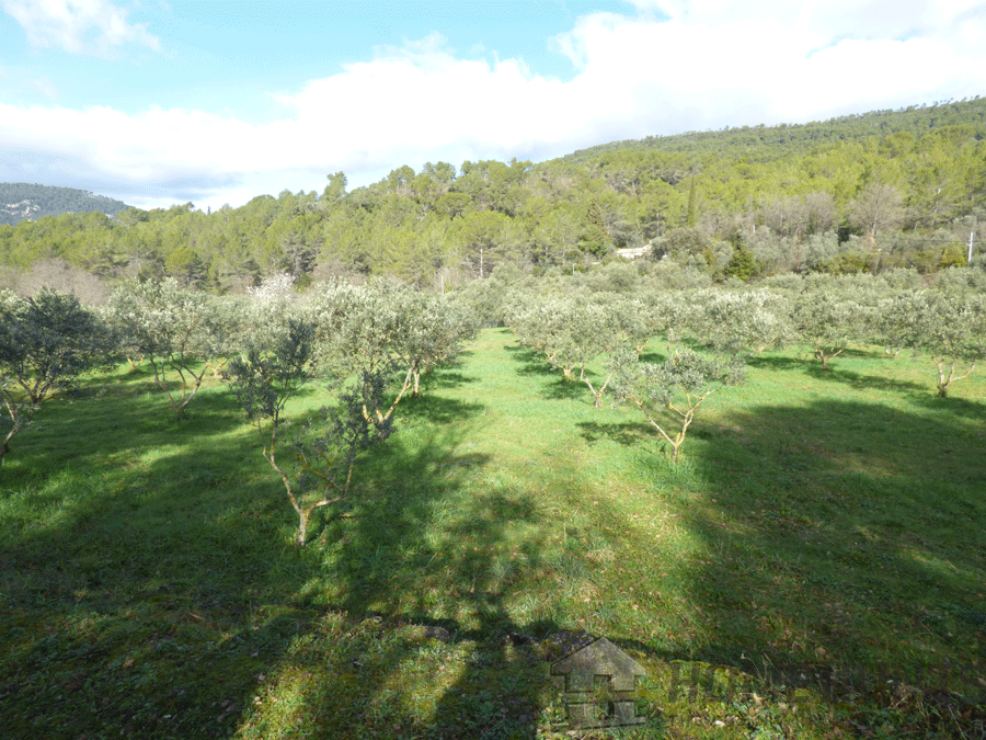 property_HH-15682529-17