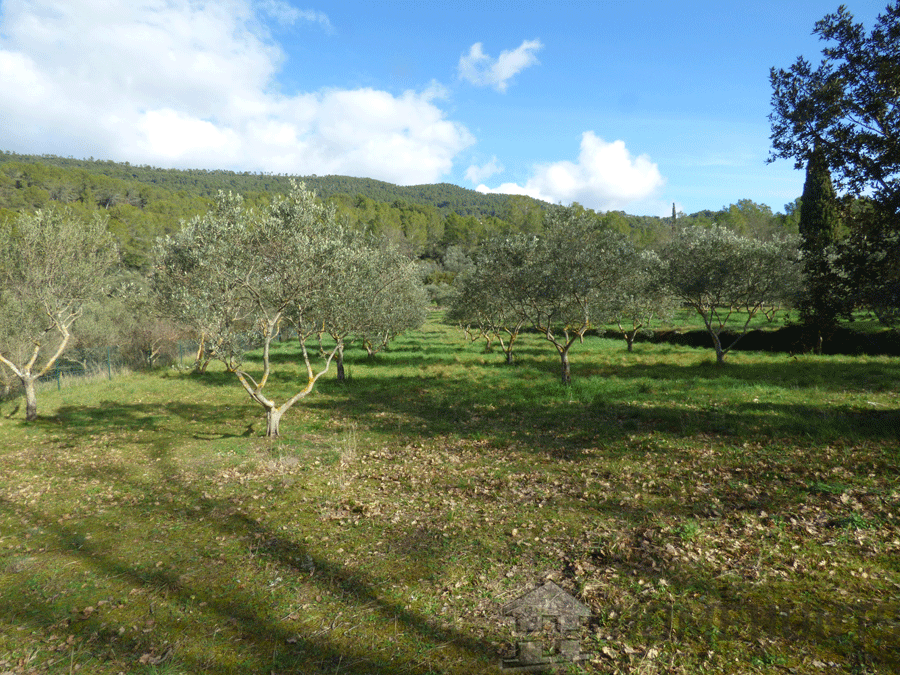 property_HH-15682529-18