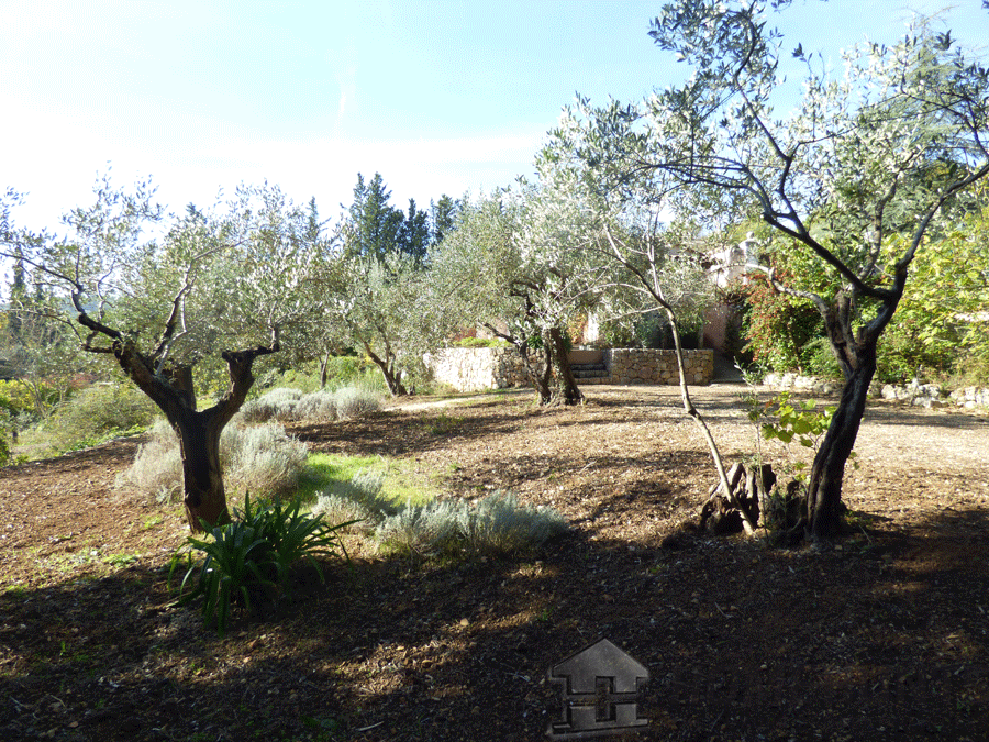 property_HH-15987241-10