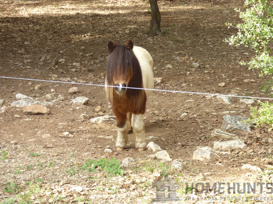 property_HH-15987242-17