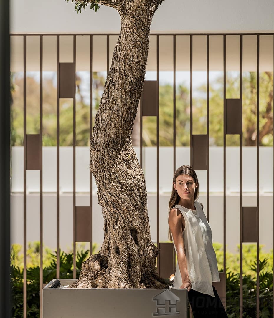 property_HH-15644085-24